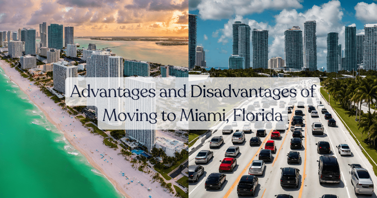 Advantages And Disadvantages Of Moving To Miami Florida 