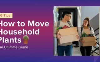 How to move plants