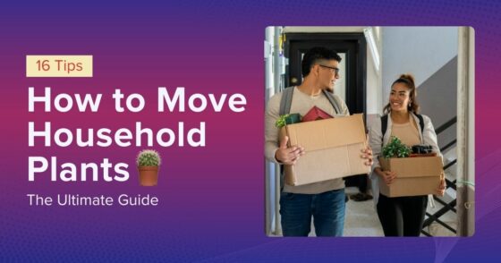 How to move plants