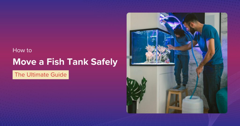 How to Move a Fish Tank Safely