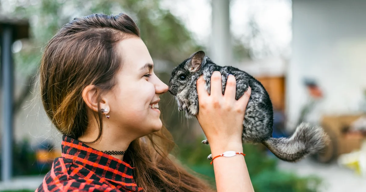 Move-with-a-Chinchilla