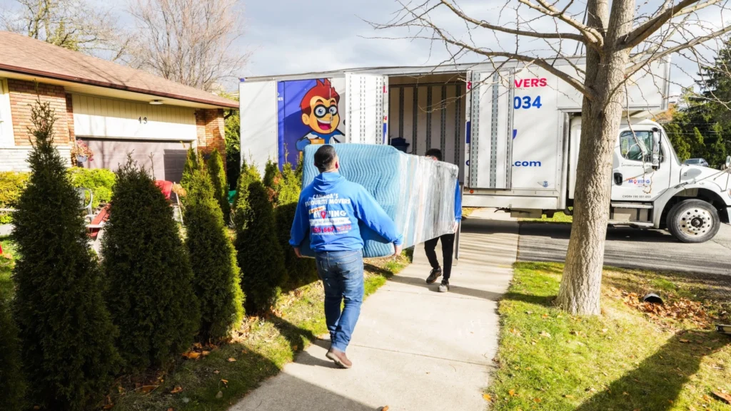 bubble wrap packing.jpg