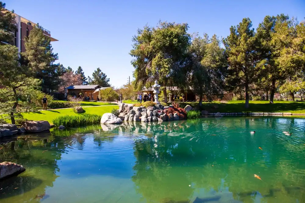 Japanese Friendship Garden