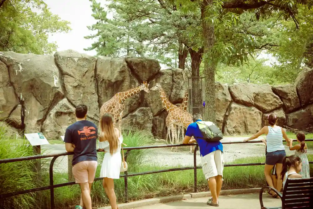 East Falls, PA East Falls, PA